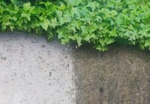 nettoyage haute-pression d'un mur exterieur avec visuel avant / après intervention d'un expert du nettoyage